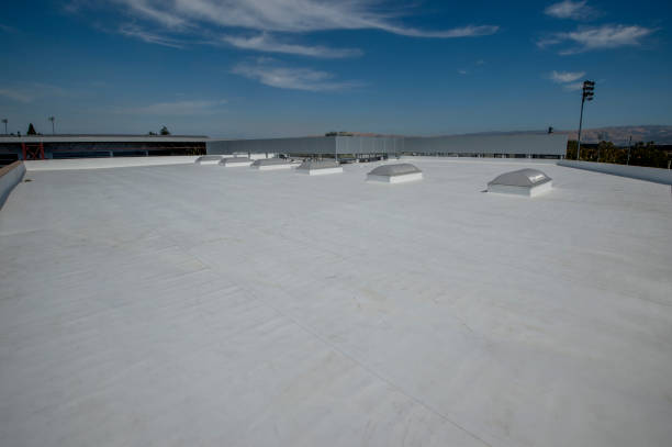 Professional Roofing Service in Halls, TN