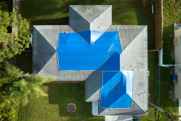 Professional Roofing Service in Halls, TN